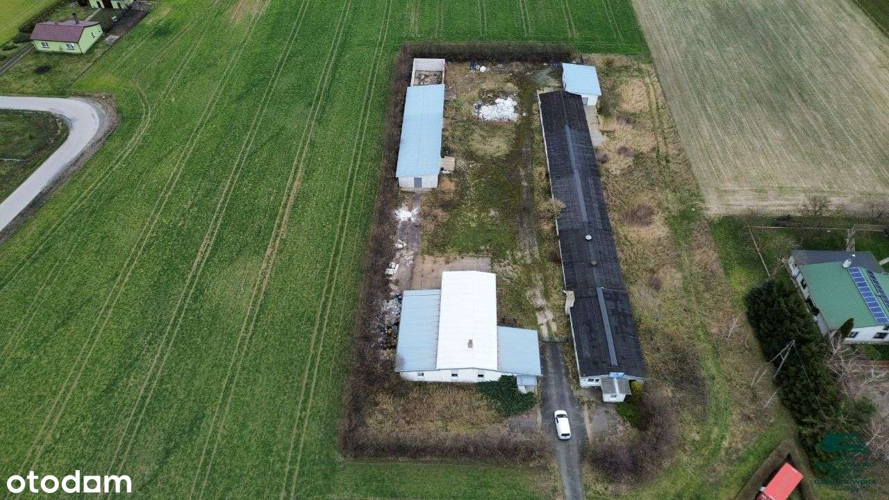 Budynki Użytkowe z gruntem 1,8181ha - Pełny obrazek: 4/7