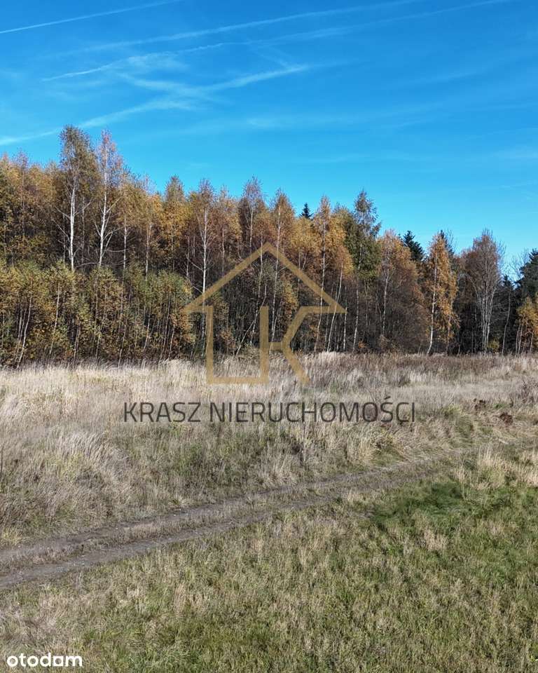 Widokowa działka rolna w Naprawie!-6