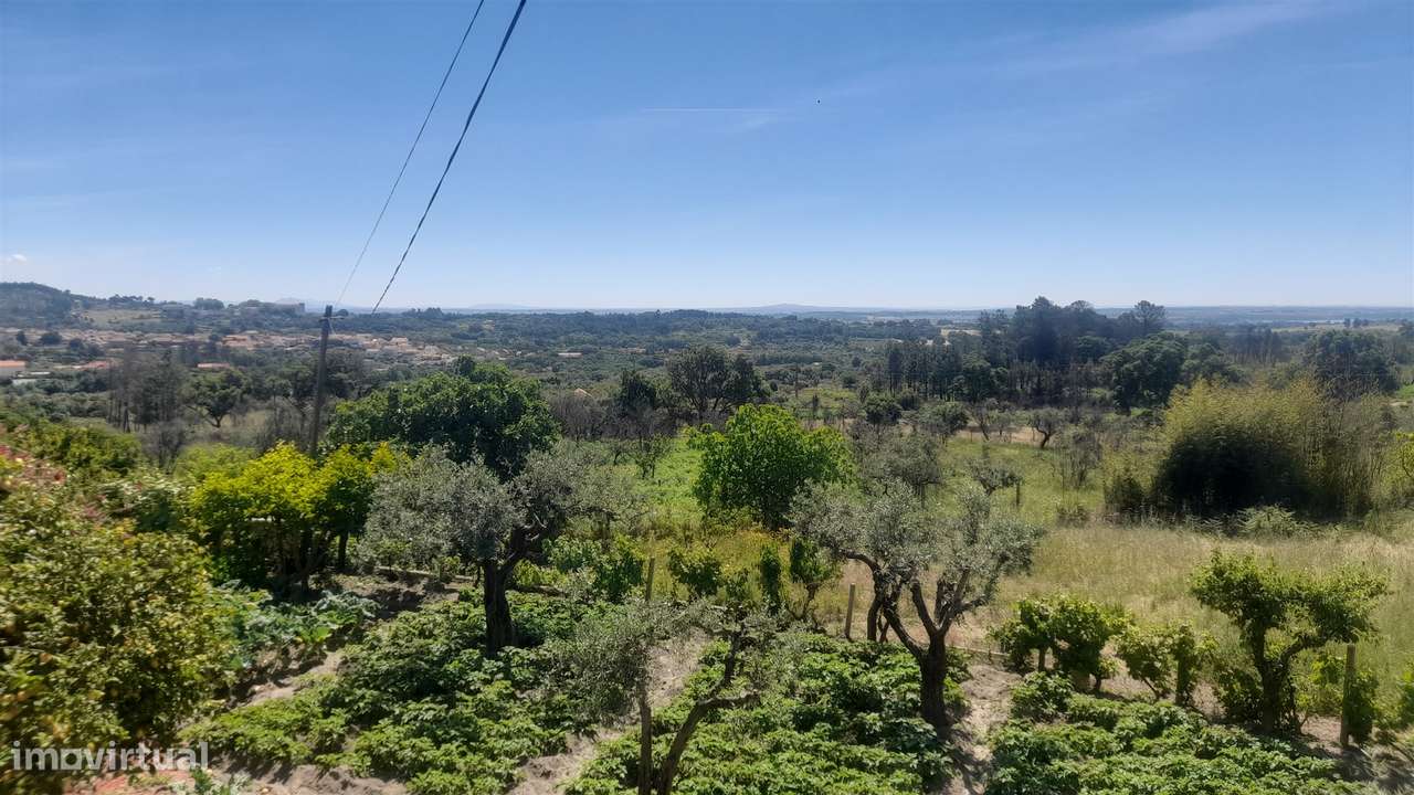 Moradia Isolada T4+1 Venda em Louriçal do Campo,Castelo Branco - Grande imagem: 4/57