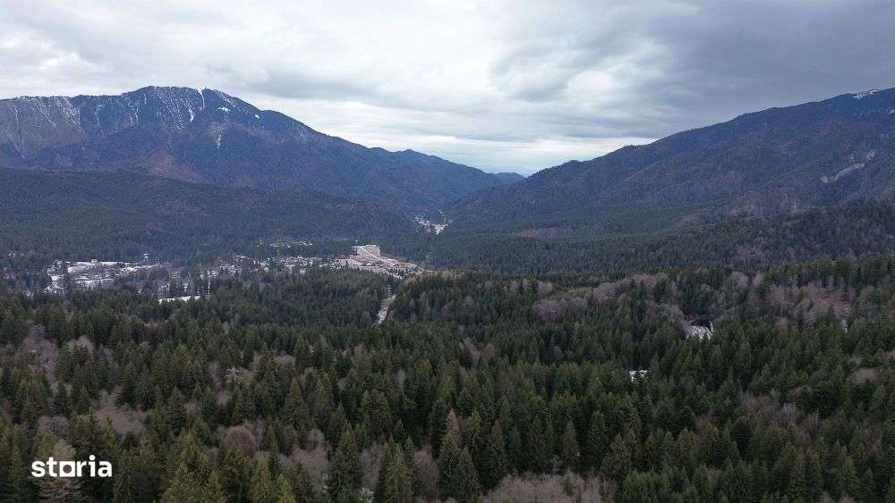 Teren intravilan 3.500 mp Cioplea - Predeal - Imagine principală: 5/7