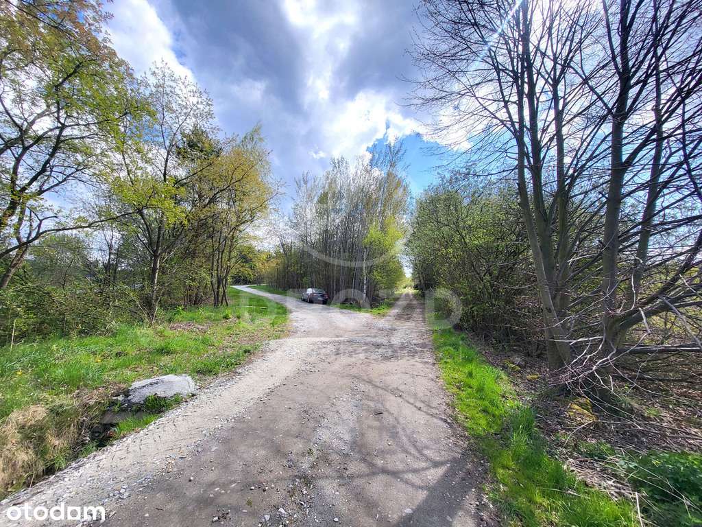 Działka zagrodowa RM/ 1, 33 ha/media/MPZP/bez prow-9
