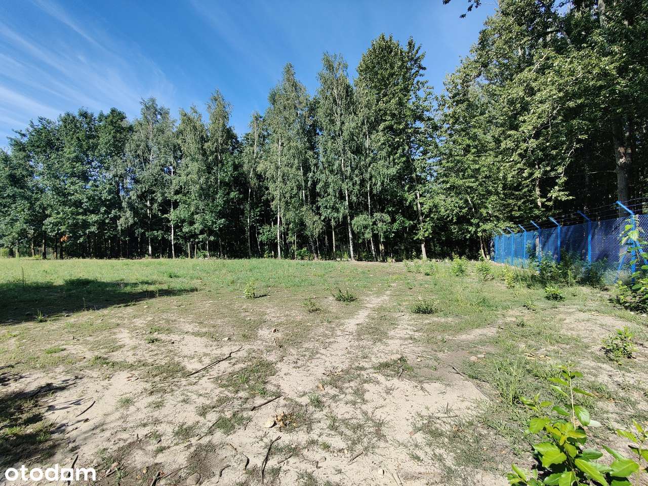 Ogrodzona rolno-budowlana w Janowie-12