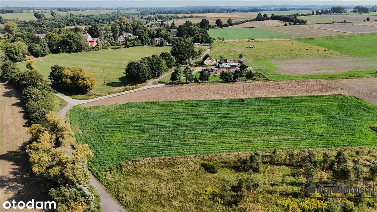 Bielikowo - działka budowlana około 20 minut od Ba-16