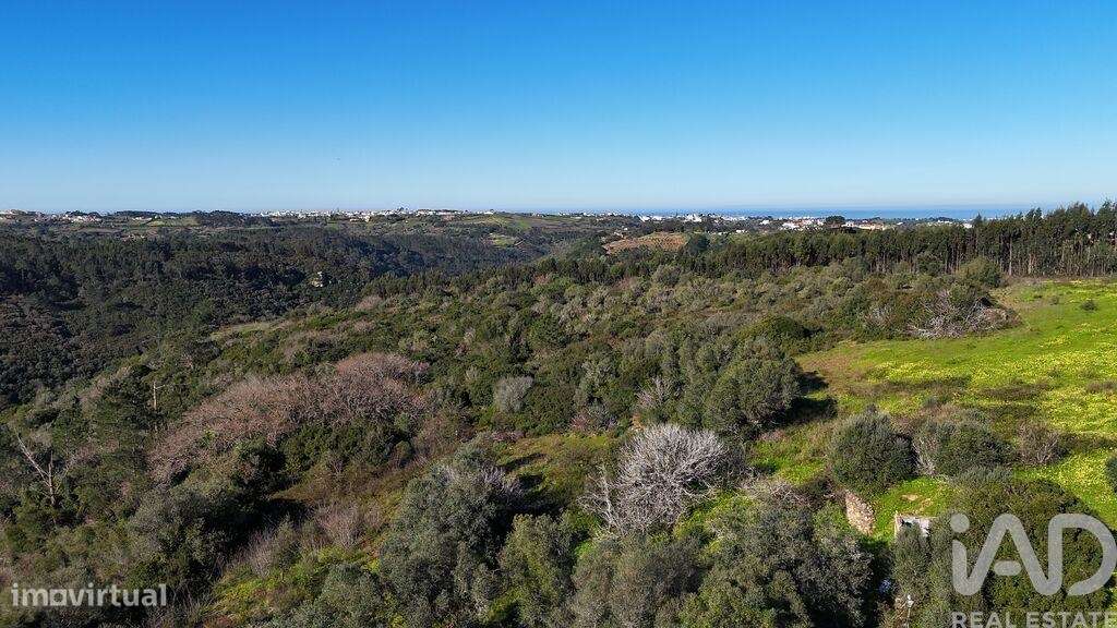 Terreno Agrícola em Mafra - Grande imagem: 4/27