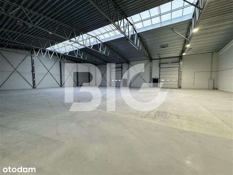 Nowy, samodzielny obiekt magazynowy - Pełny obrazek: 4/9