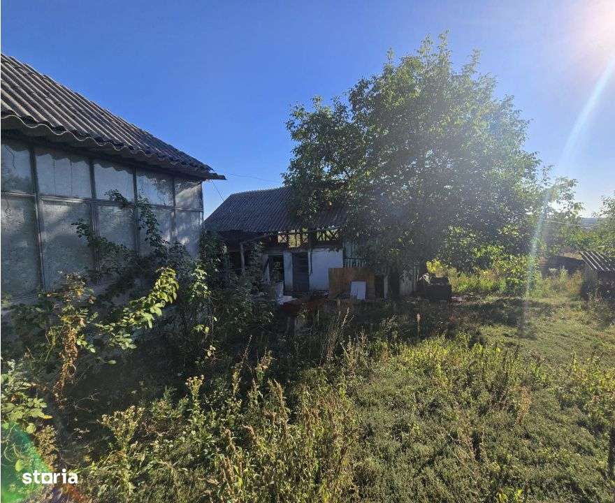Teren 685 mp + Casa batraneasca, Ștefanesti - Golesti-6