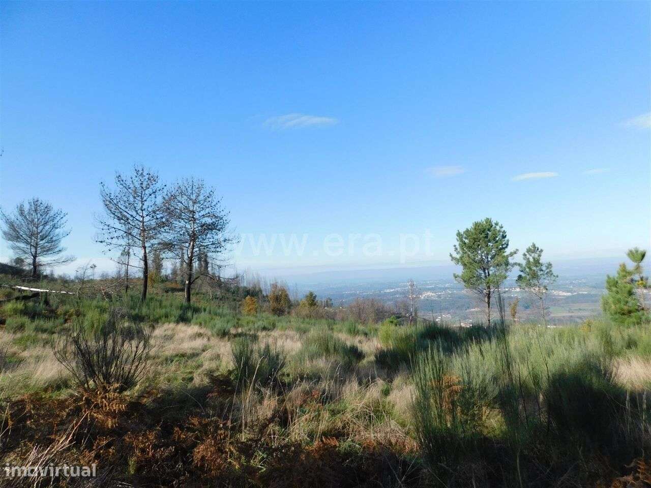 Terreno / Seia, Seia - Grande imagem: 3/6