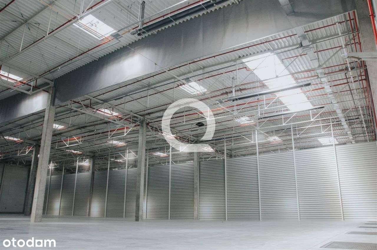 Nowoczesny magazyn blisko portu! - Pełny obrazek: 4/8