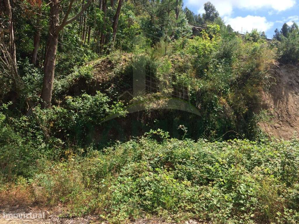 Lote de Terreno para construção em Seixas - Grande imagem: 4/5