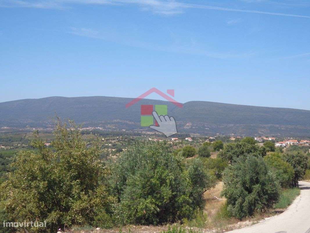 Terreno Rústico T0 Venda em Chancelaria,Torres Novas-7