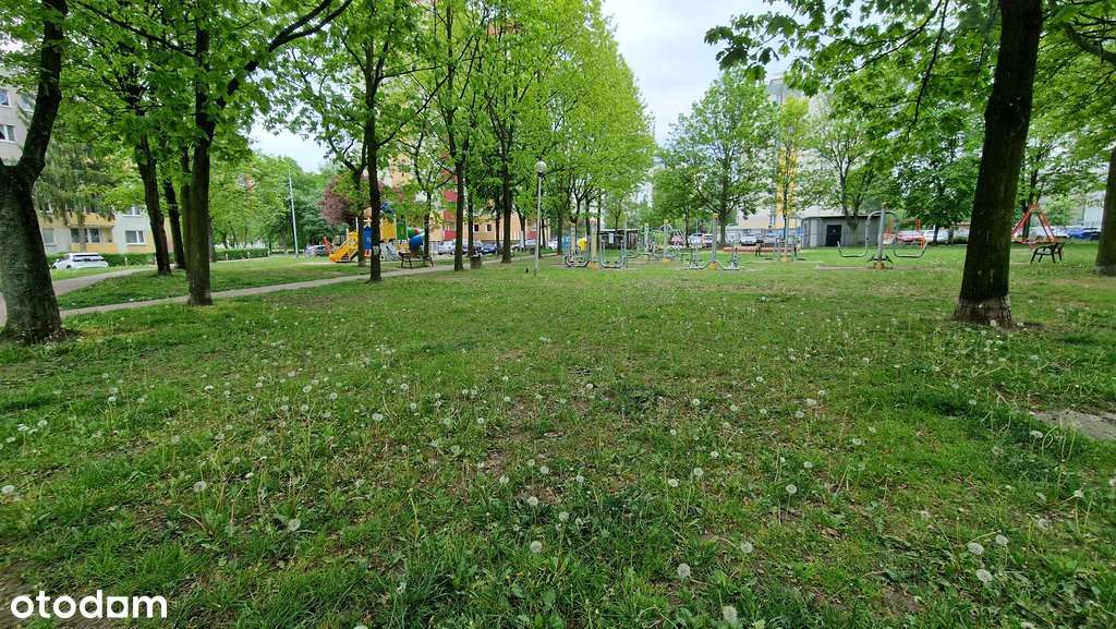 Dwustronne M3 44,7m², Tysiąclecie Częstochowa-18