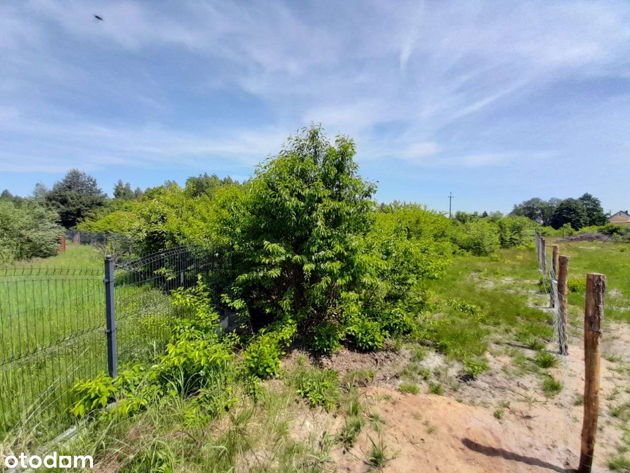 Sprzedam dużą działkę w Żarkach - 18,5a !!!-8