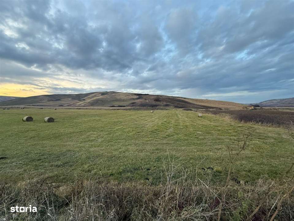 Teren Extravilan I 6000 Mp I Acces la drum | Cojocna-7