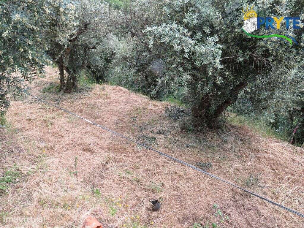Pequena quinta a confinar com a Ribeira situada perto de Oleiros-42