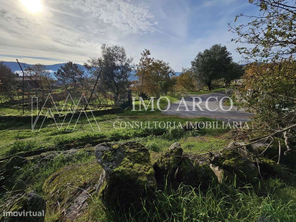 Terreno, Olival de Meanhos-19