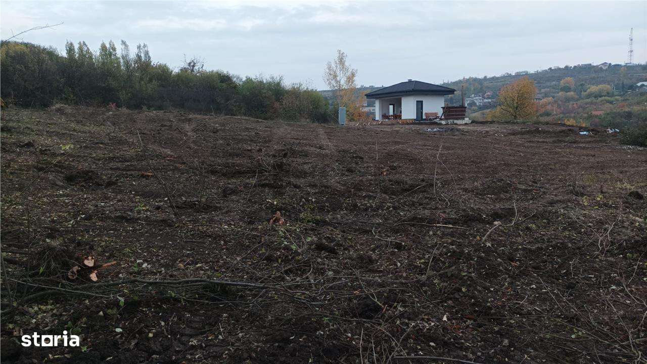 RECO . Teren in Podgoria . - Imagine principală: 2/3