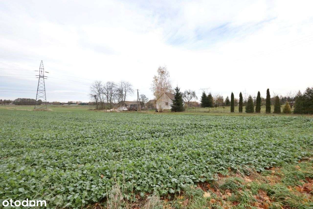 Działka 14,5 ar, Gmina Niemce - Pełny obrazek: 3/3