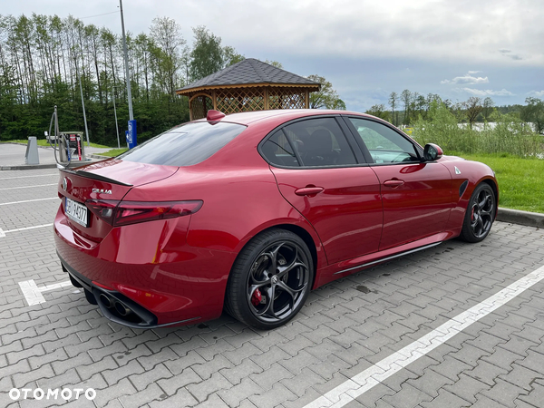 Alfa Romeo Giulia 2.9 Bi Turbo V6 Quadrifoglio - 5