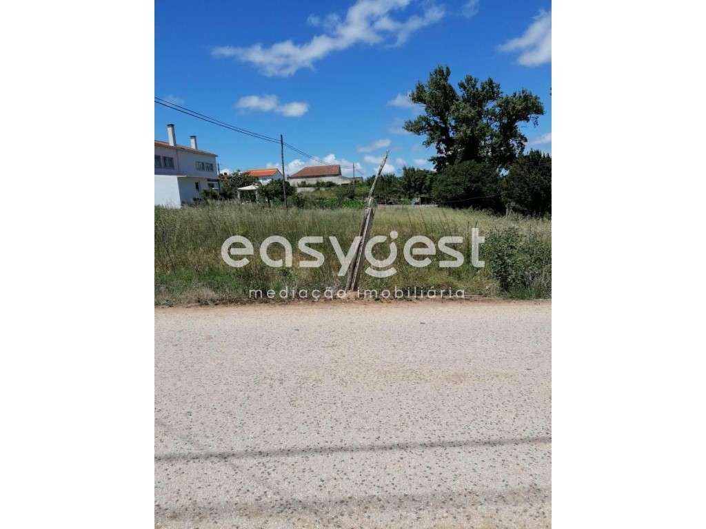 Excelente Terreno Urbano para Quintinha ou Loteamento - Bombarral - Grande imagem: 4/7