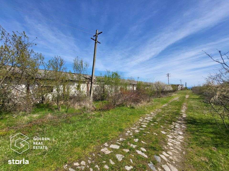 Teren extravilan, 22.5 ha, comuna Maureni - Imagine principală: 4/7