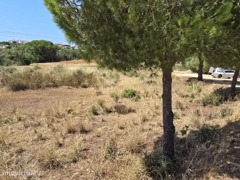 Terreno rústico, com diversas árvores, Boliqueime, Algarve - Grande imagem: 2/20