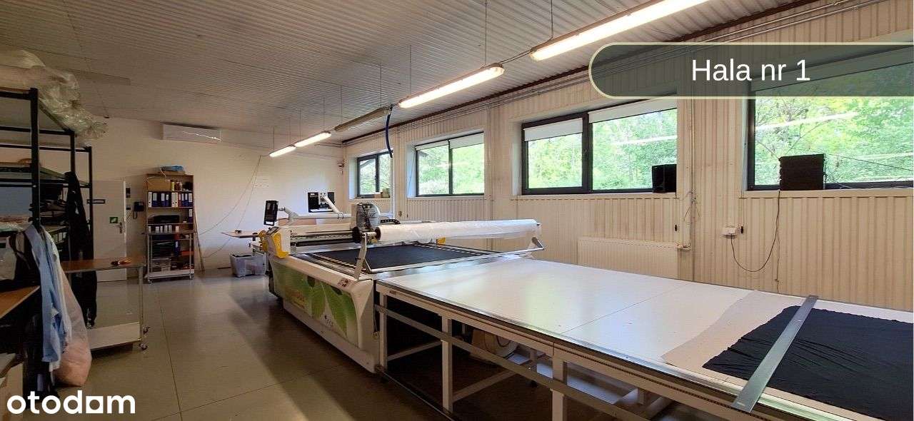 Nowoczesna hala SBU z biurem i możliwością rozbudowy, 2 km od Łodzi-11