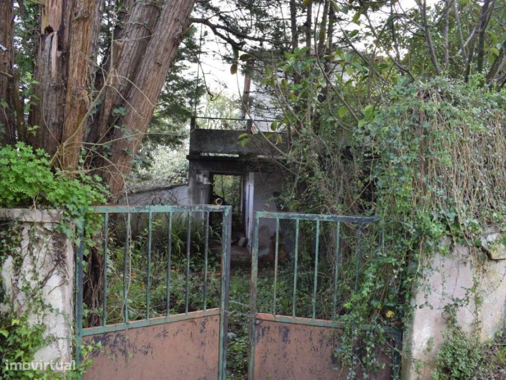 Quinta entre Antanhol e Cernache-13