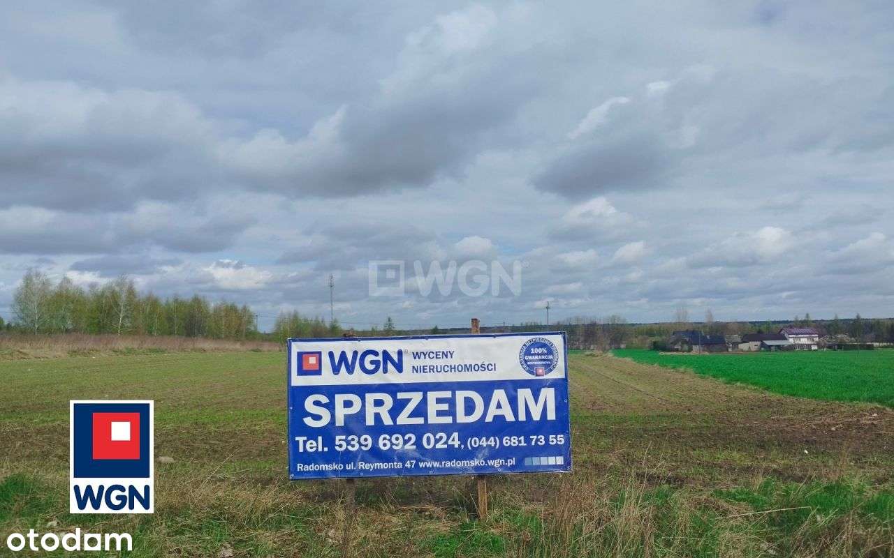 Działka, 2 993 m², Kodrąb-5