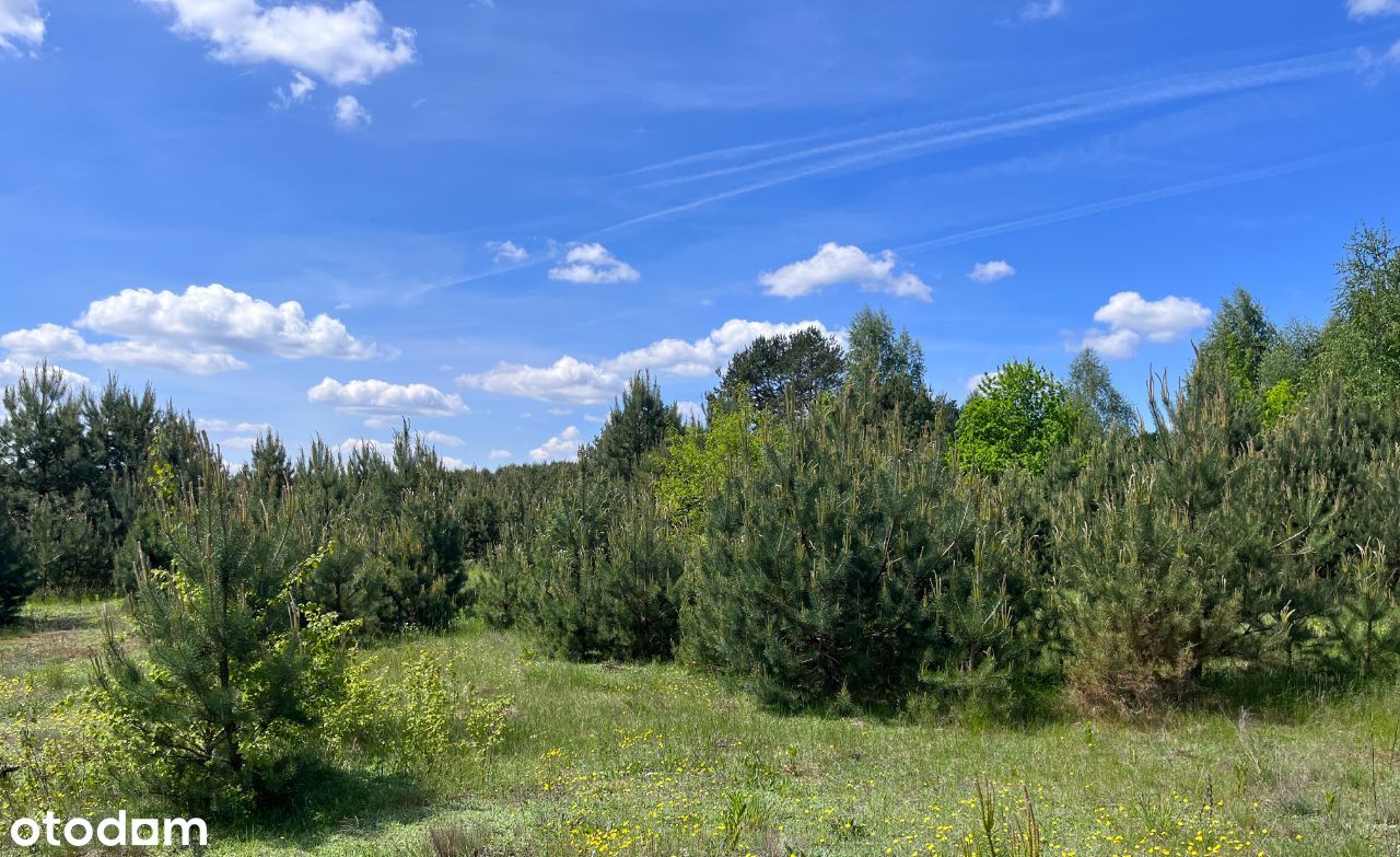 Działka budowlana w gminie Płaska, powiat Augustów