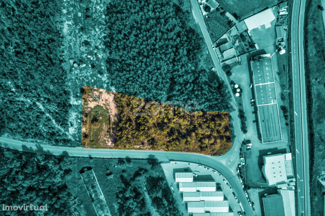 Terreno com uma área total de 6 500 M2