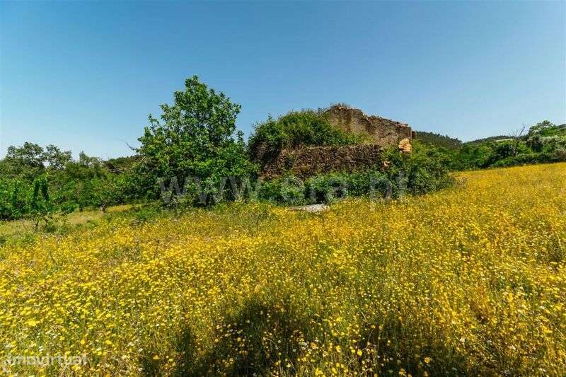 Terreno / Fundão, Donas - Grande imagem: 5/20