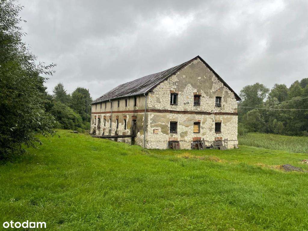 Zabytkowy Młyn, budynki gospodarcze, rzeka, las-5