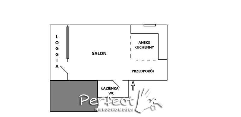 Duża kawalerka/loggia/3 piętro-Zakole! - Pełny obrazek: 3/19