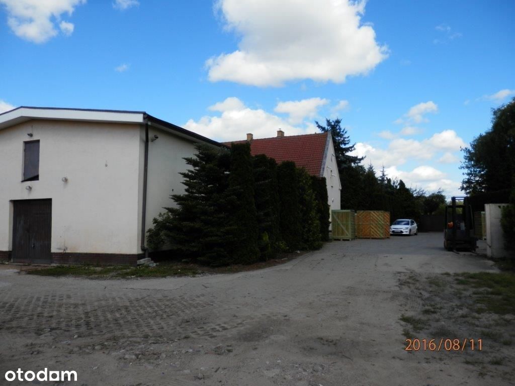 Lokal użytkowy, 250 m², Tarnowo Podgórne