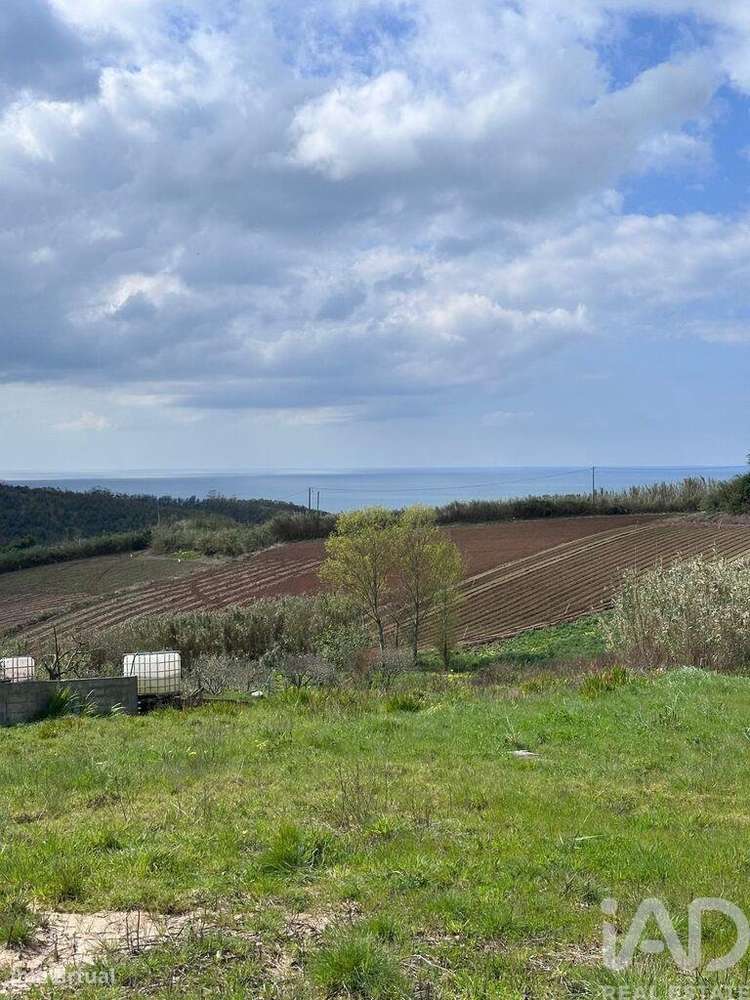 Terreno em Lourinhã e Atalaia de 3960,00 m2 - Grande imagem: 2/29