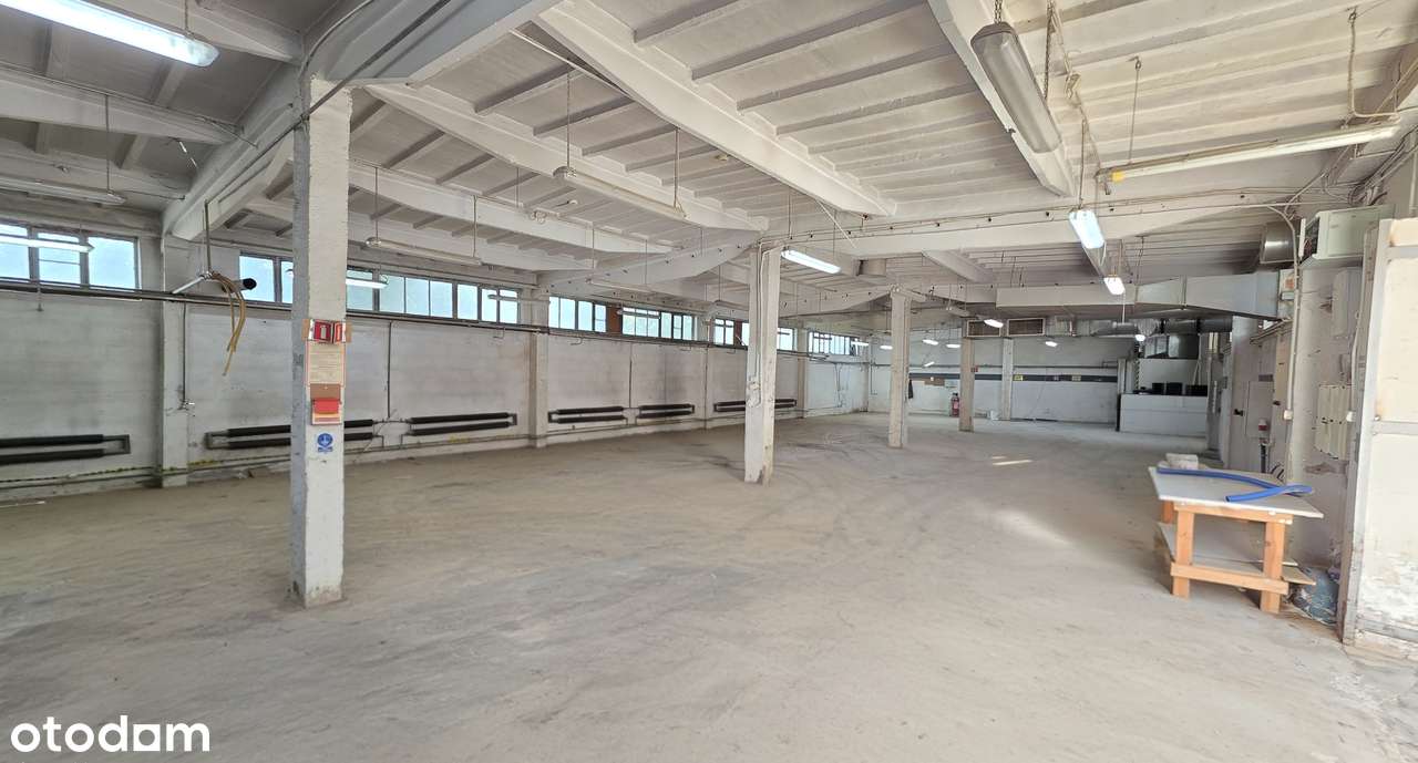 Magazyn, hala produkcyjna, lokal usługowy, warsztat, parking. Cieplice - Pełny obrazek: 2/16