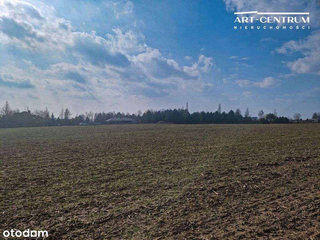 3 działki w Osielsku - Pełny obrazek: 2/6