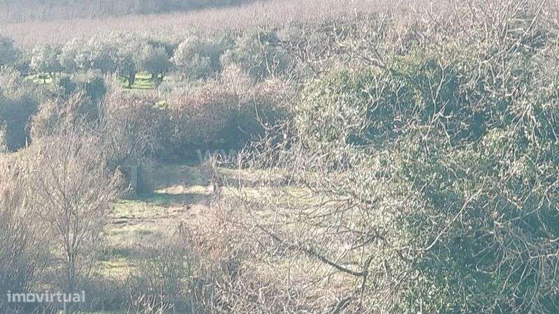 Terreno Rústico / Fundão, Capinha - Grande imagem: 2/3