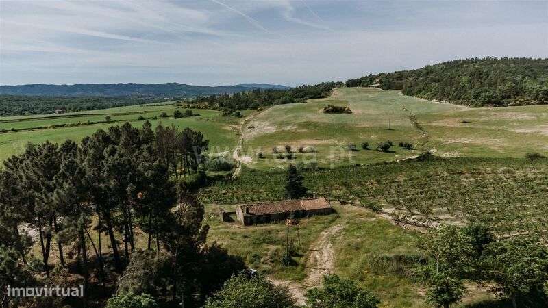 Quintinha T5 / Covilhã, Teixoso-15