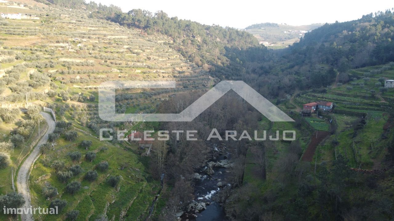 Ruína junto ao rio Varosa em Tarouca - Grande imagem: 1/30