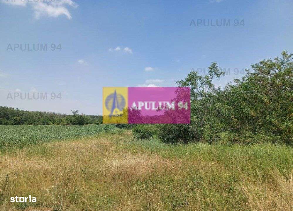 Săbăreni, teren 12620 mp pentru case, lângă pădure - Imagine principală: 2/5