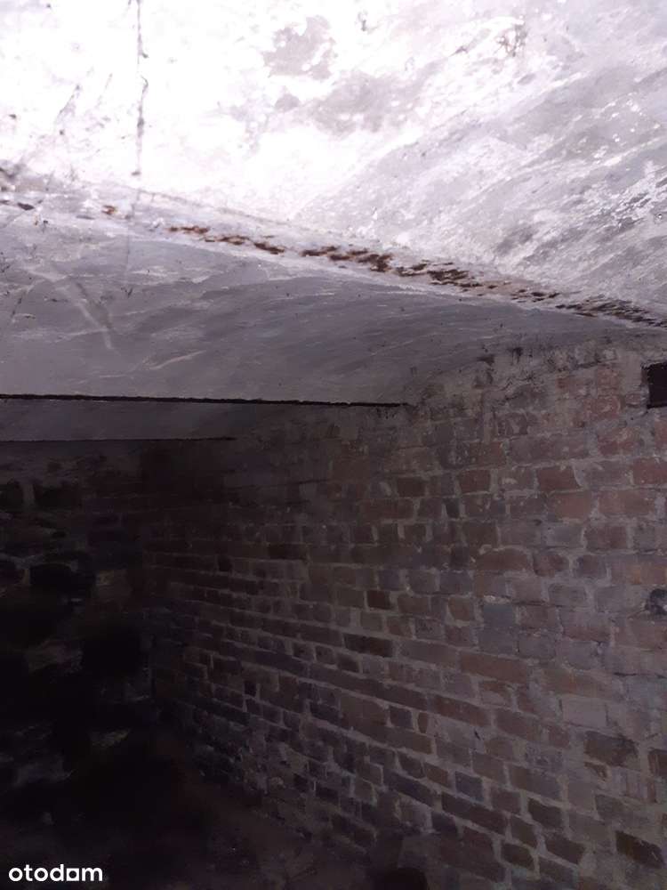 Dom do generalnego remontu z dużą działką budowlano-rolną-15