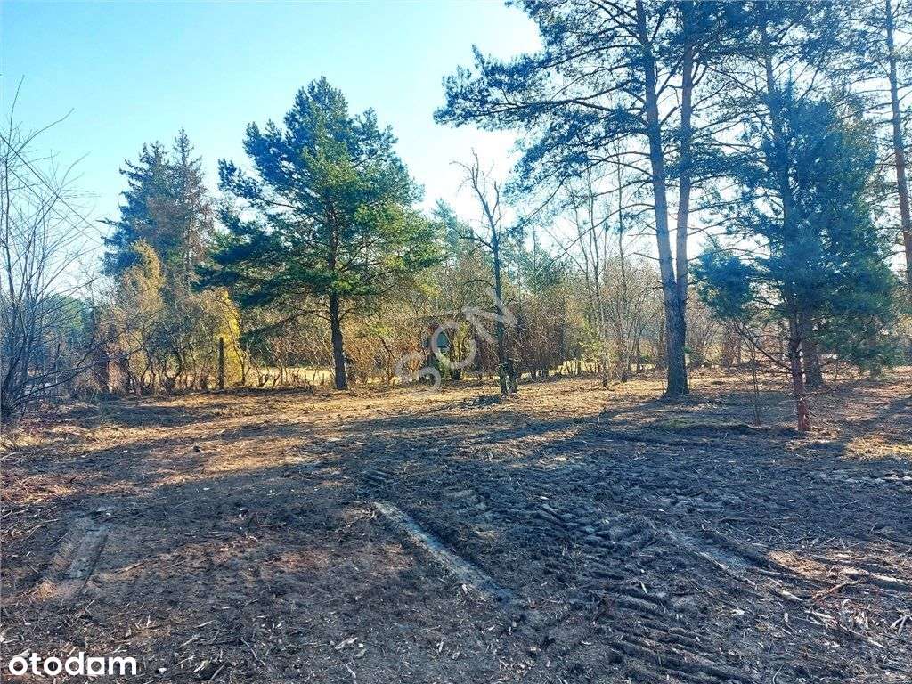 Józefow, Działka z Wz - Pełny obrazek: 5/6