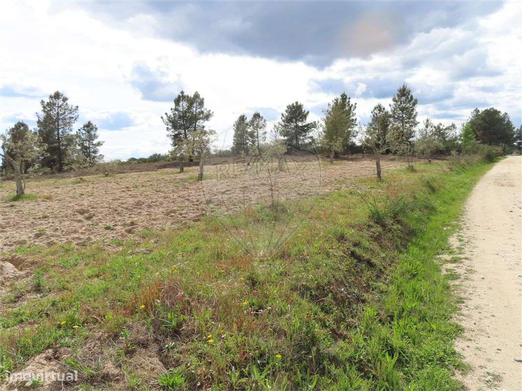 Quinta  para venda - Grande imagem: 2/19