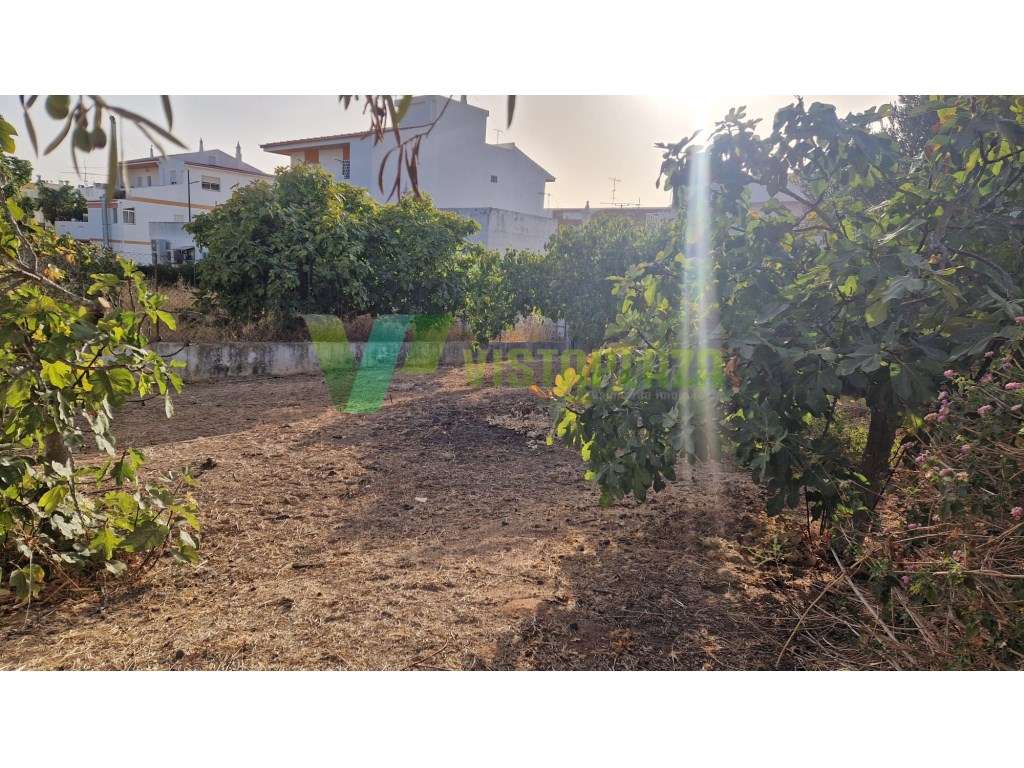 Terreno Urbano em Montenegro para venda. - Grande imagem: 2/10