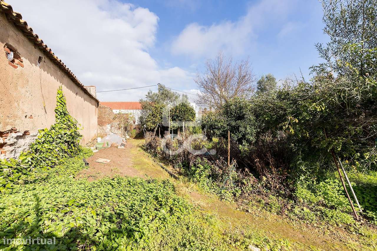 Quinta T5 de 0,9 ha com Moradias e Anexos | Torrão, Alcácer do Sal-48