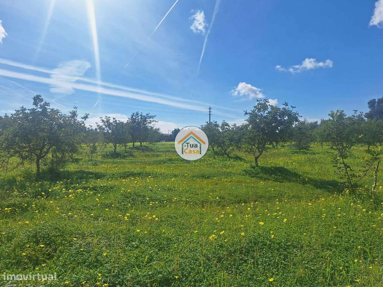 Terreno com armazém no concelho de Faro - Grande imagem: 2/30