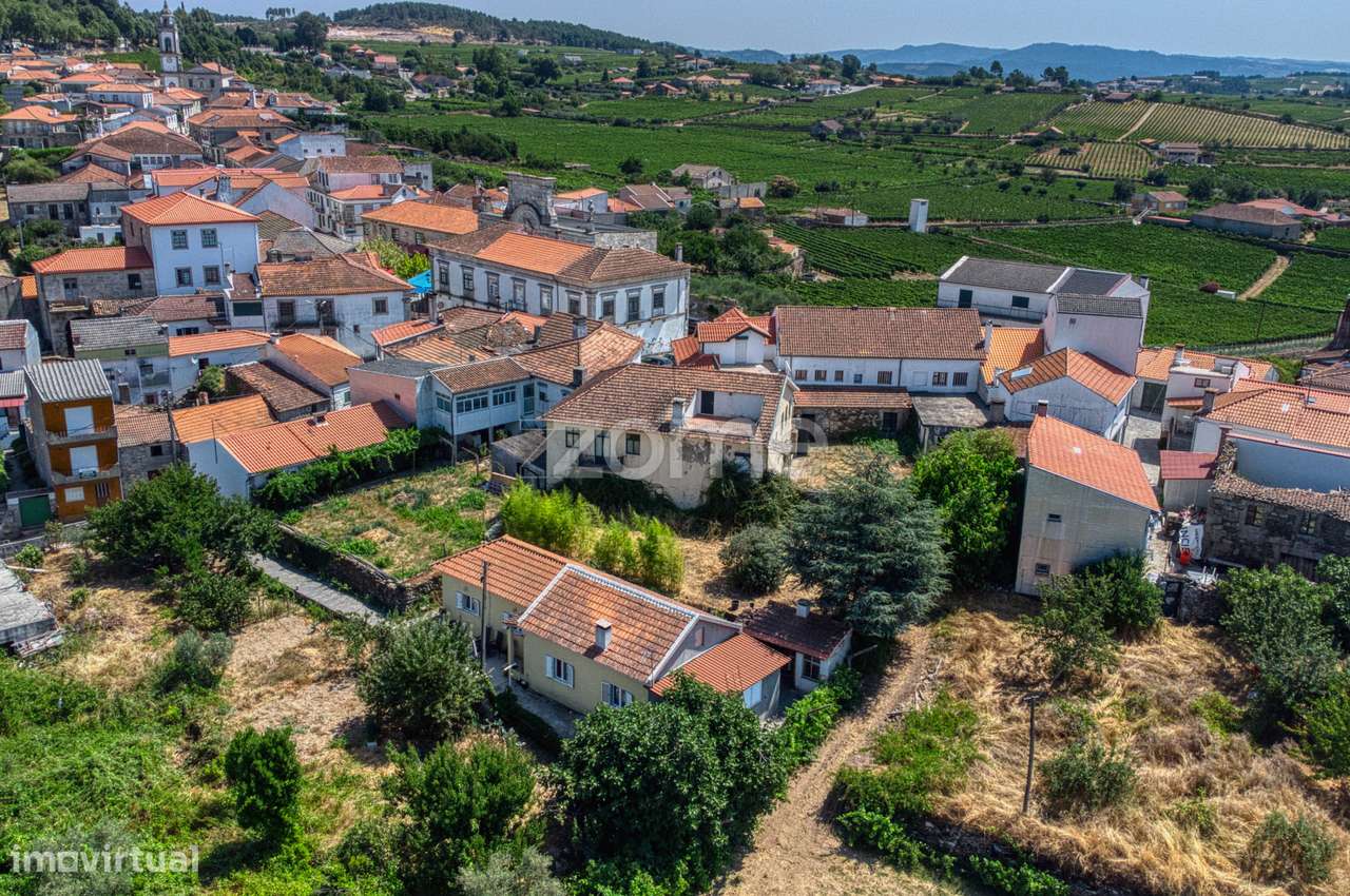 Moradia c/9 divisões, vinha e armazém em Lugar de São Gonçalo, Fava...-36