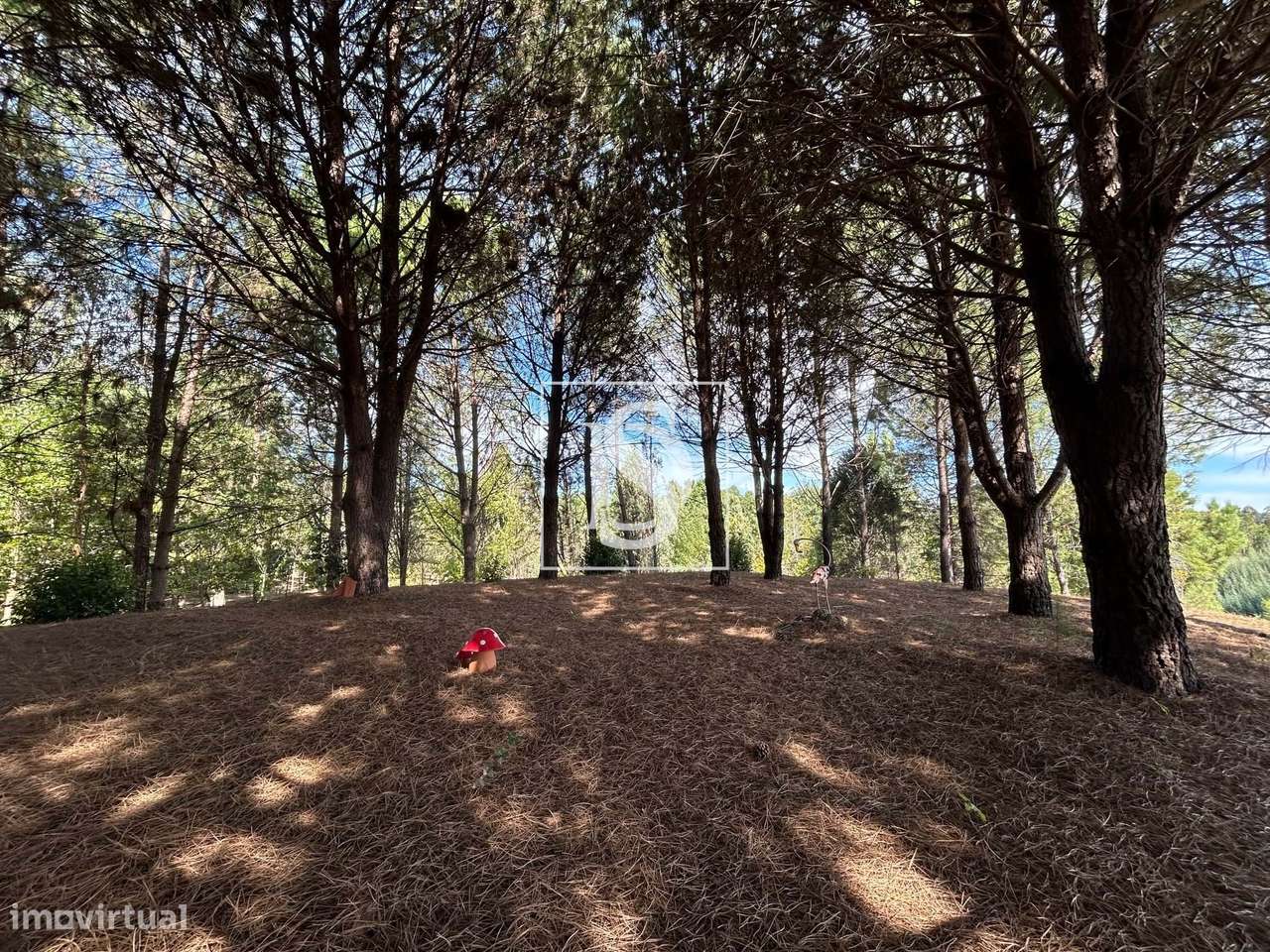 Quinta com 16500m2-52