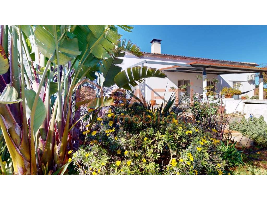 Casa em Silves - Grande imagem: 3/44